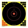 Birchwood Casey Shoot-N-C 12 Round Target 5-Pack, BC-34012