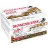 Winchester 22 Long Rifle - 36 Grain Hollow Point Copper Plated Ammo, 222-Round, 22LR222HP