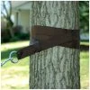Algoma Hammock Tree Strap Kit, 7800 -Boat Sport Shop sftp a s assets20201012000000043