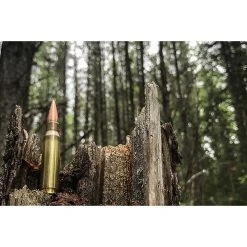 Fort Scott Munitions 308 WINCHESTER 168 Grain Centerfire Rifle Ammunition, 308-168-SCV 8 Fort Scott Munitions 308 WINCHESTER 168 Grain Centerfire Rifle Ammunition, 308-168-SCV -Boat Sport Shop sftp a s assets20220622000000193
