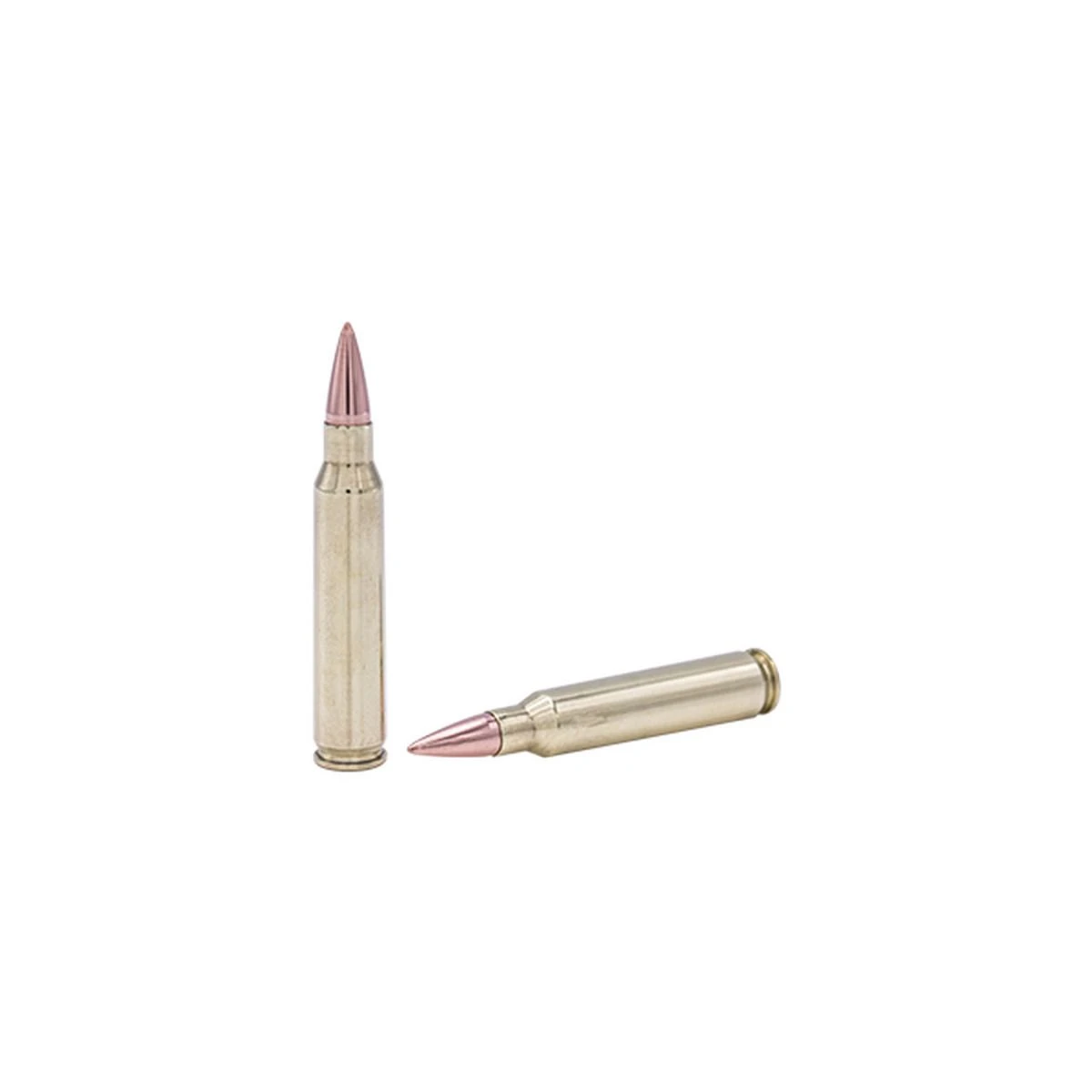 Fort Scott Munitions 223 Rem 55 Grain Centerfire Rifle Ammunition, 223-055-SCV 4 Fort Scott Munitions 223 Rem 55 Grain Centerfire Rifle Ammunition, 223-055-SCV - Image 2