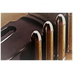 Fort Scott Munitions 45-70 GOVERNMENT 300 Grain Centerfire Rifle Ammunition, 4570-300-SCV1 -Boat Sport Shop sftp a s assets20220622000000222