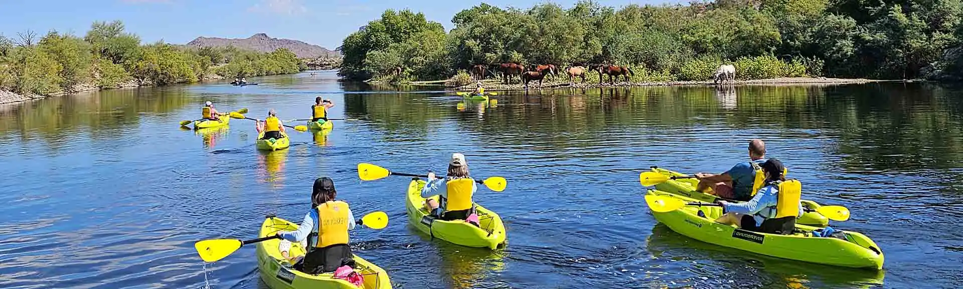 Boat Sport Shop -Boat Sport Shop paddling the lower salt river horses riverbound 1920x576 1.jpg